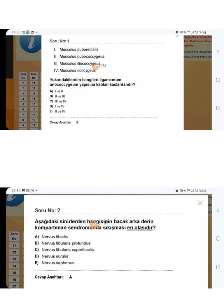 2024 Tus 1 Temel | PDF