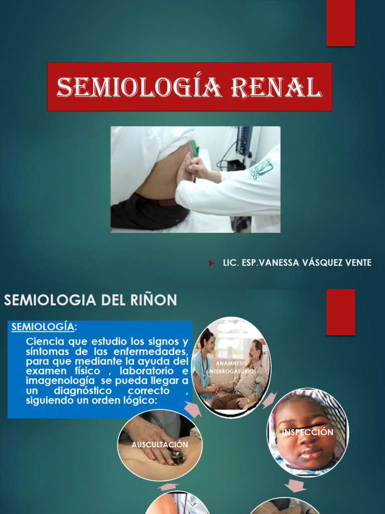 Semiologia Del Riñon 1 | PDF | Examen físico | Riñón