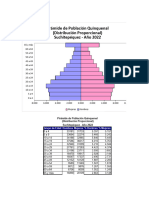 Piramide Poblacional