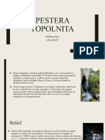 Pestera Topolnita