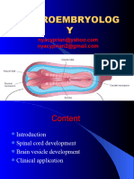 Neuroembryology