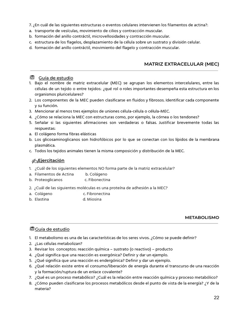 91 gu a de actividades 1ra parte 1ero 2024 1 22 29 pdf