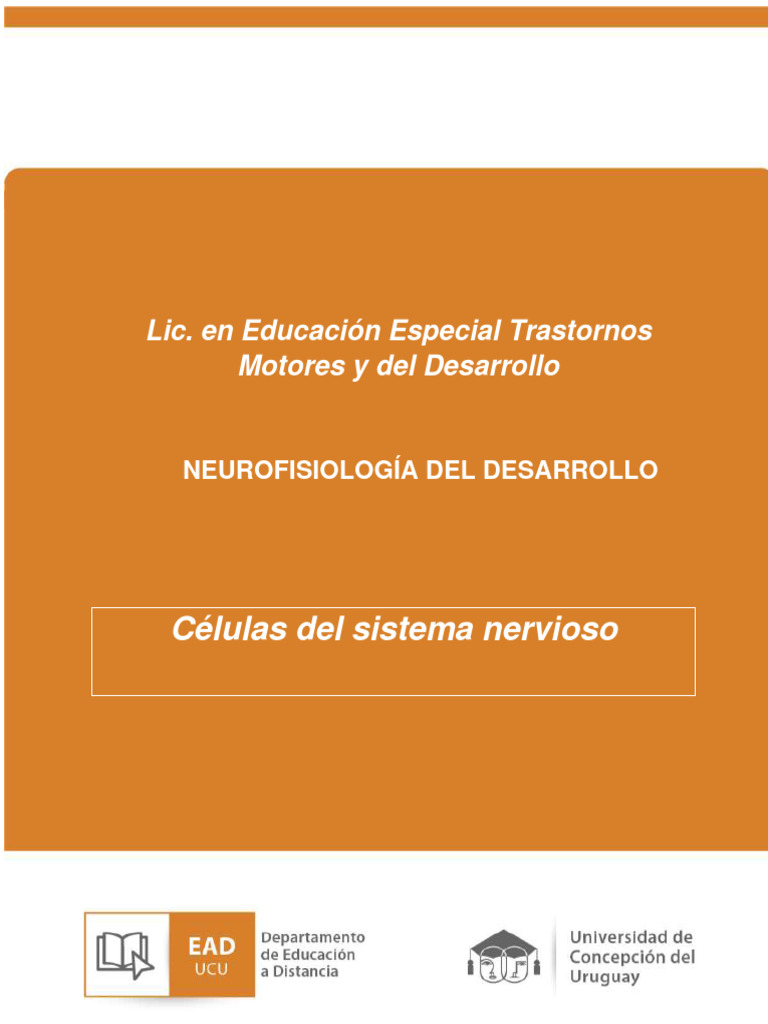Neuro 3 3.1. Células Del Sistema Nervioso | PDF | Sinapsis | Neurona