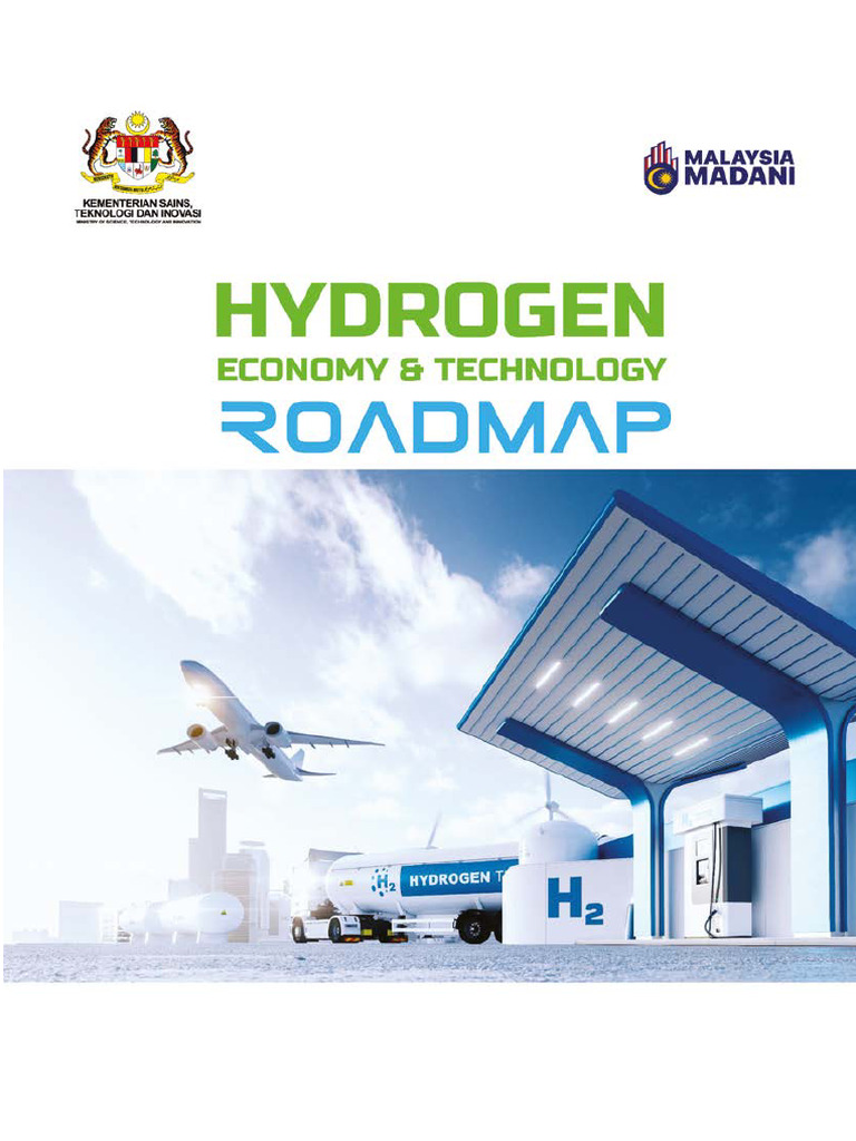 National Hydrogen Economy Roadmap Launch | PDF | Hydrogen Economy | Biofuel