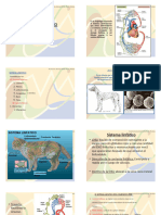 Generalidades de Circulacion LINFÁTICA2