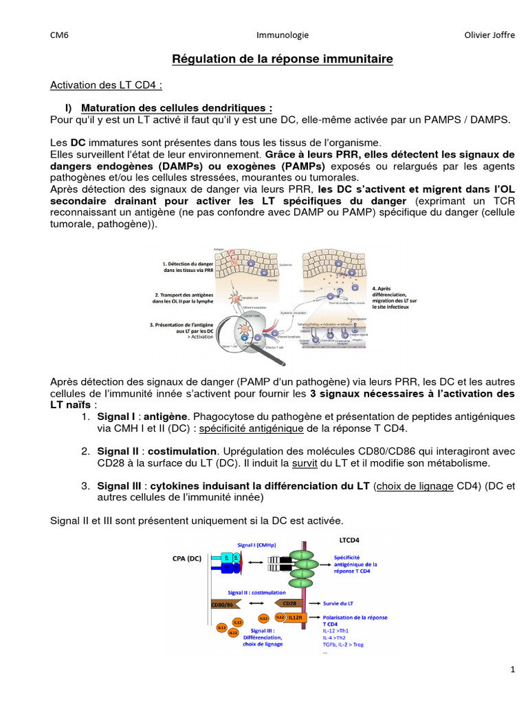 CM6 Régulation de La Réponse Immunitaire | PDF | Système immunitaire ...