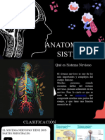 Presentacion Anatomia Del Sistema Nervioso