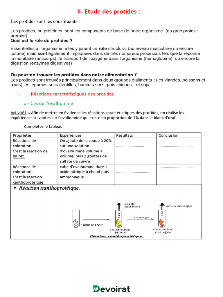 Classification et rôle des protides | PDF | Protéines | Peptide