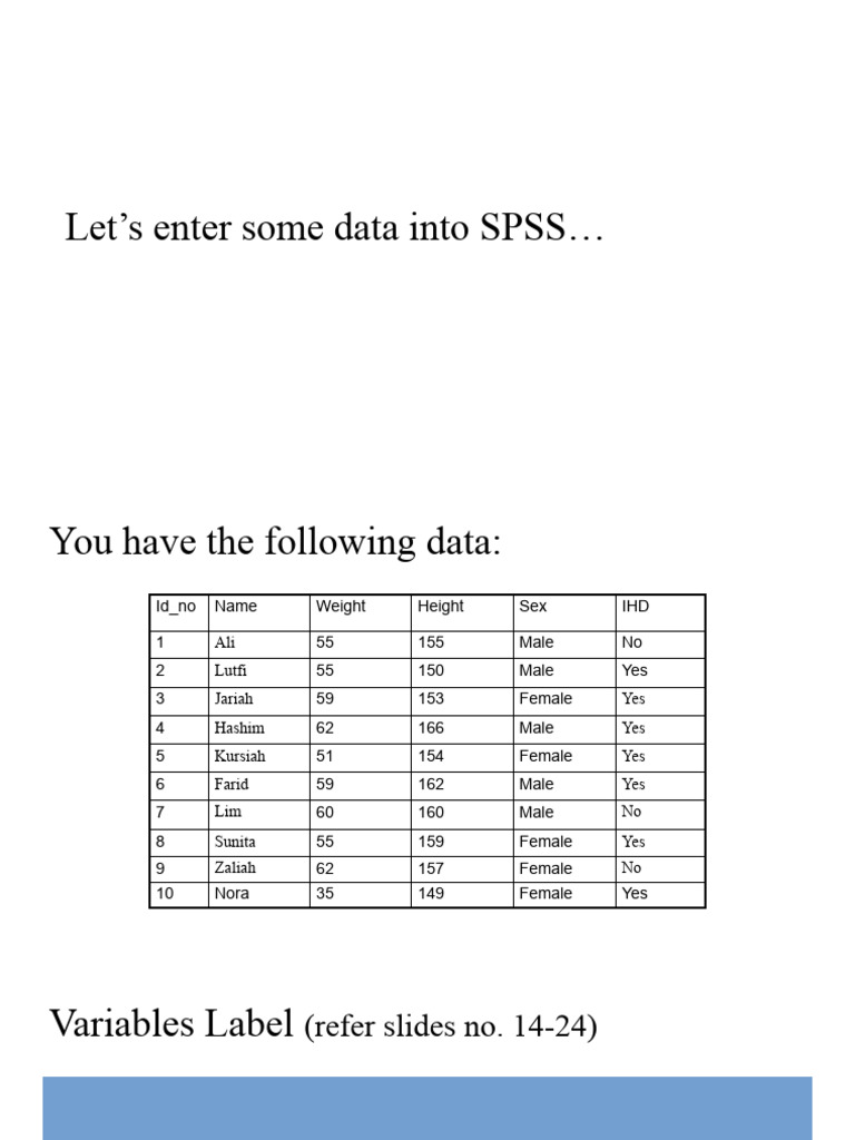 SPSS Data Entry Exercise | PDF