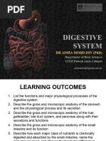 Overview of the Human Digestive System | PDF | Human Digestive System ...