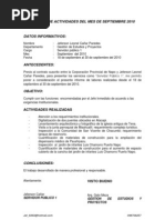 Formato De Reporte Mensual De Actividades