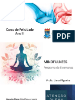 Aula 1 - Mindfulness - 2024 - 3o Encontro Do Curso