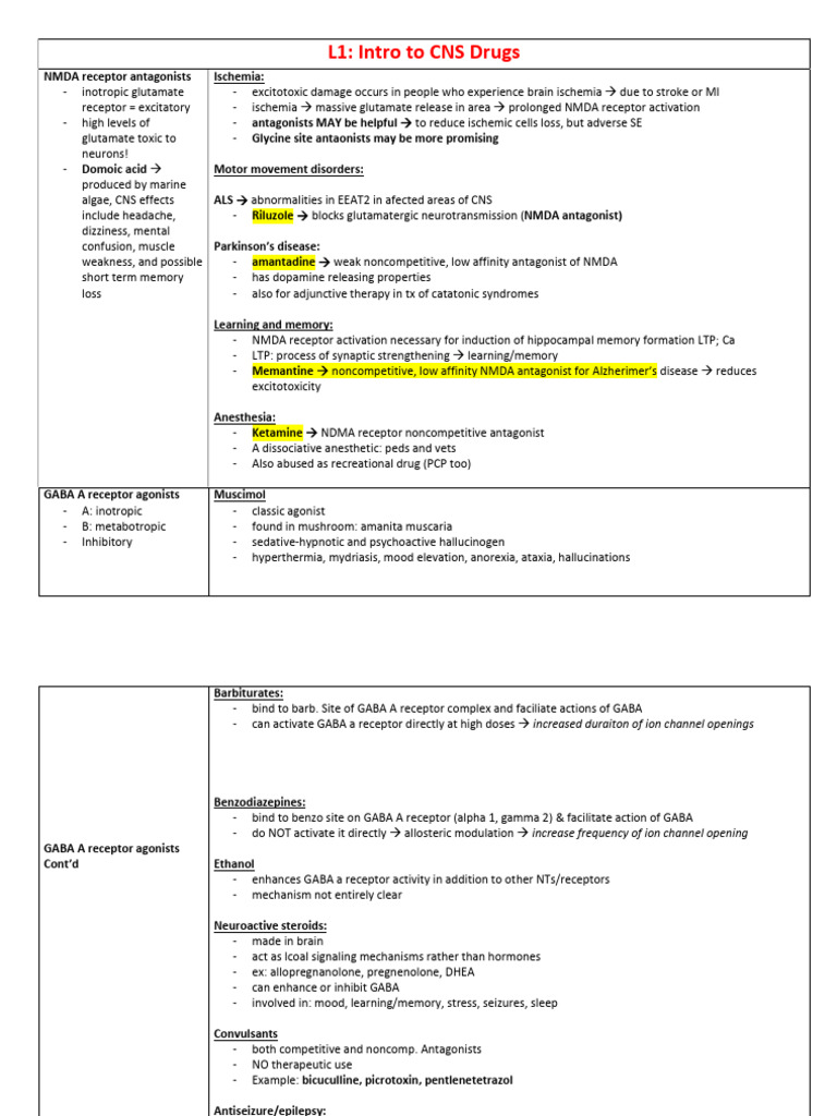 Lecture 1 Intro To CNS Drugs | PDF | Nmda Receptor | Neurochemistry