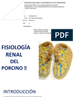 Fisiologia Renal Fisiologia Renal