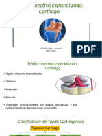 Apuntes cartilago histología