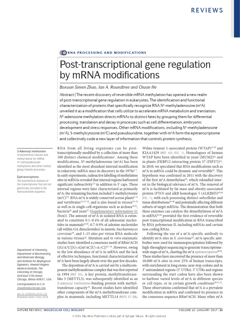 Understanding m6A RNA Modifications | PDF | Messenger Rna | Alternative ...