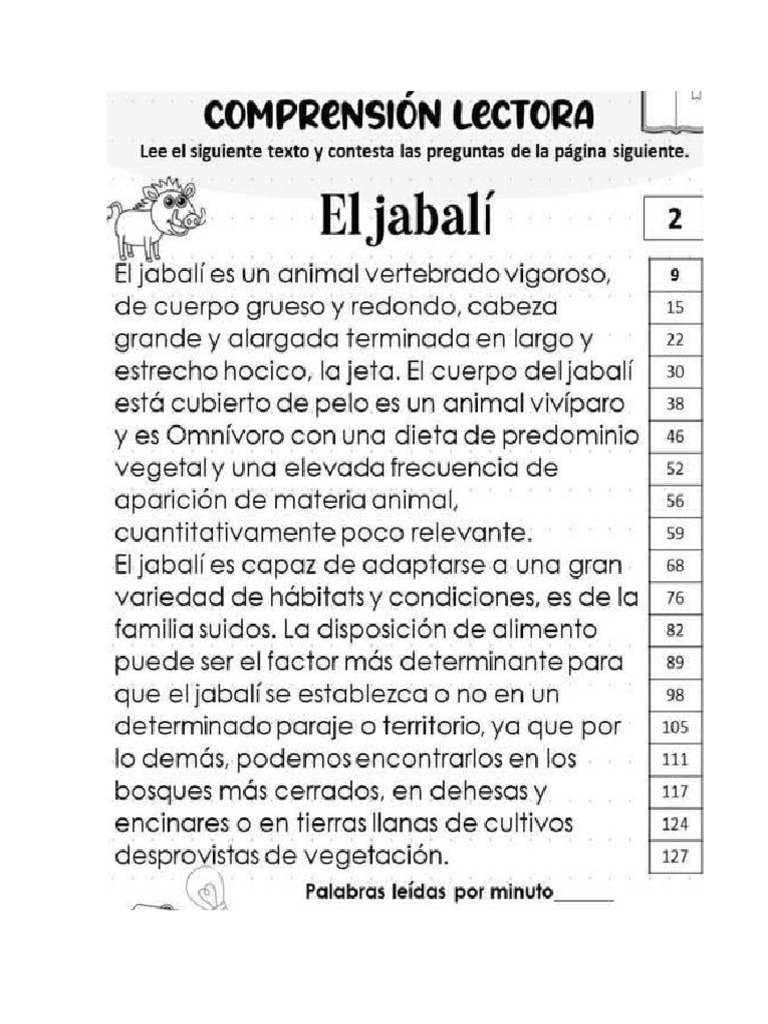 Lecturas Por Minuto Pdf