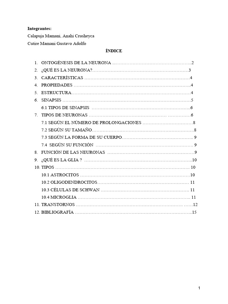 Estructura y Función de las Neuronas | PDF | Sinapsis | Neurona