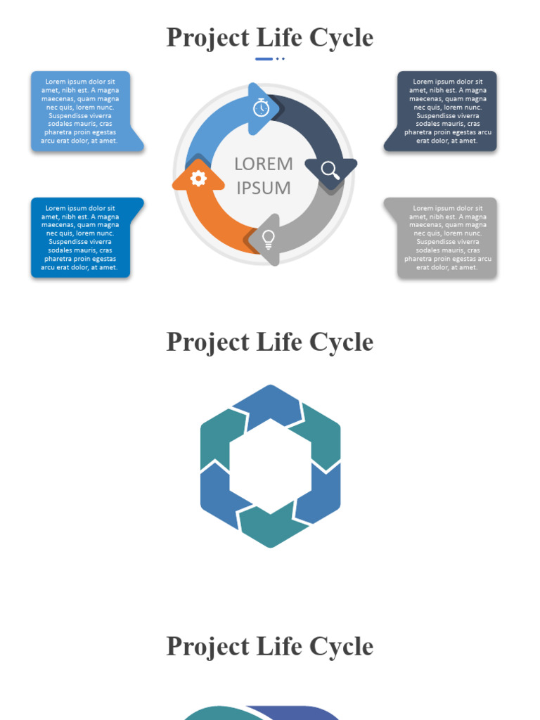 Project Life Cycle | PDF