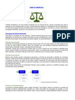 Direito Ambiental (1)