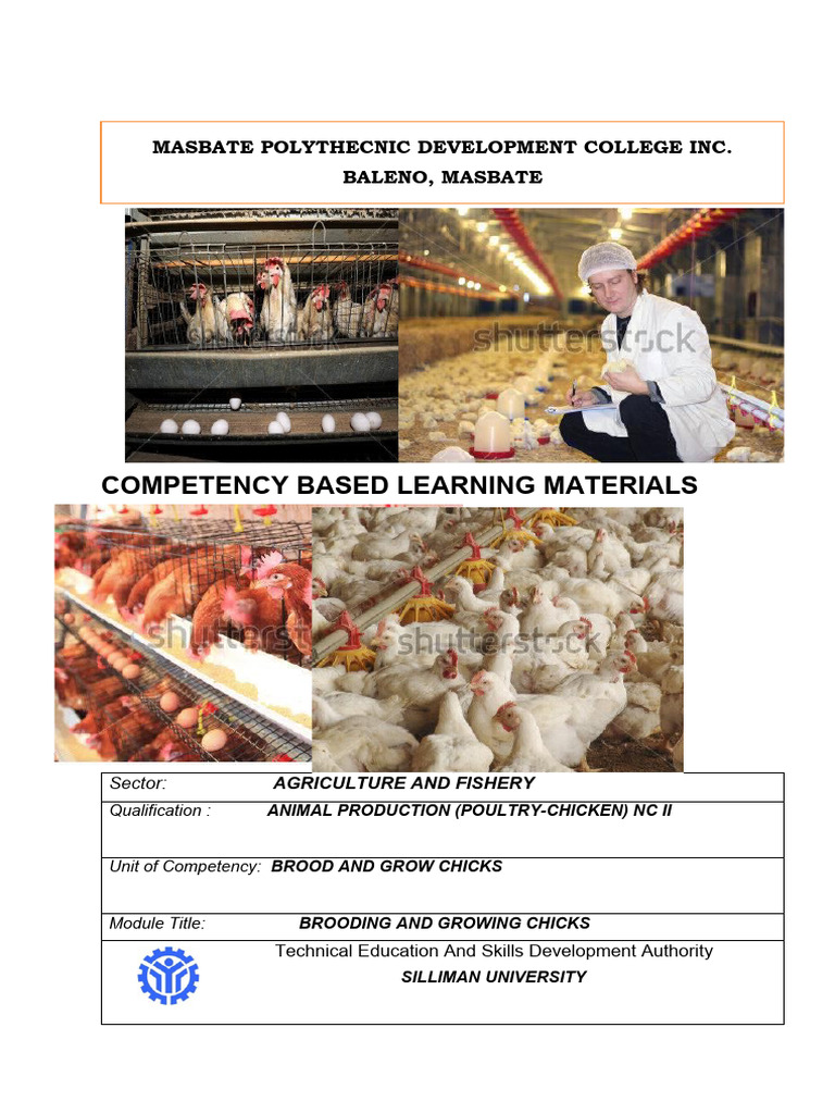 Brooding and Growing Chicks Module | PDF | Hazards | Manure