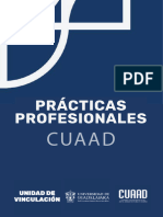 Manual - Prácticas Profesionales1209