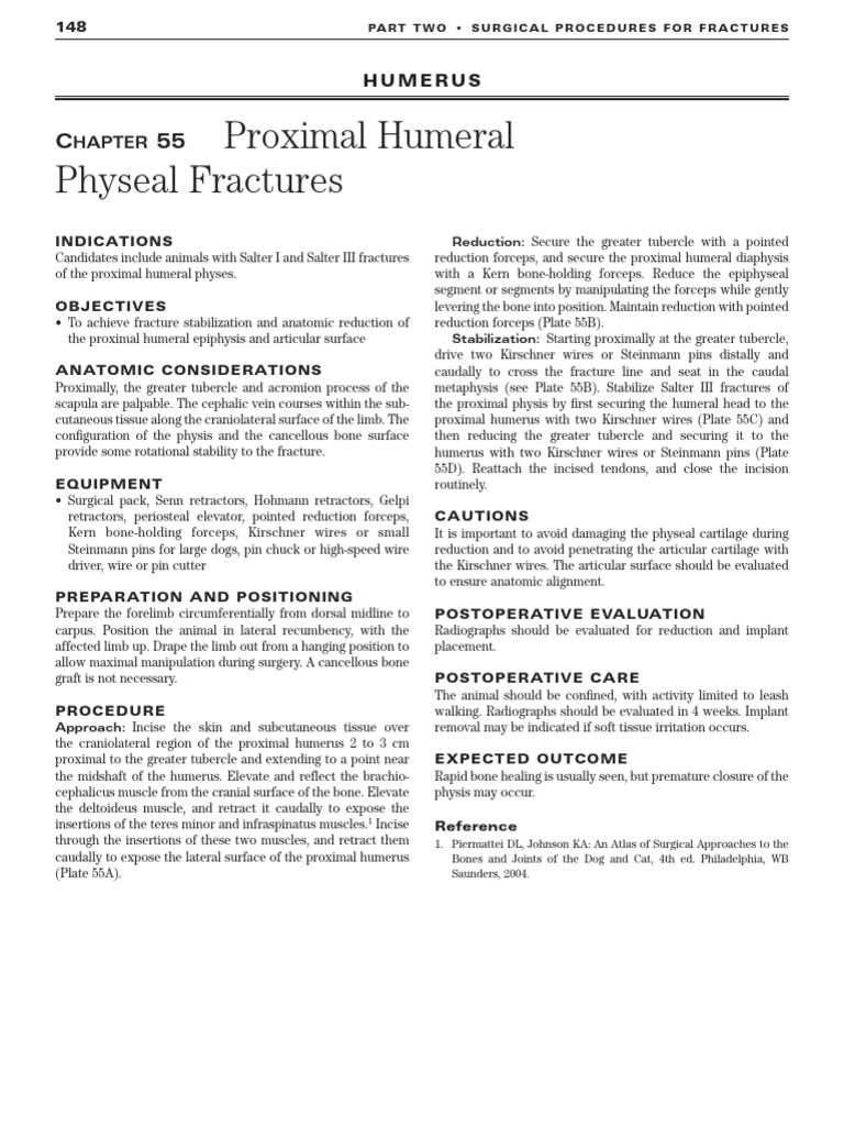 Johnson 2005 Pdf Anatomy Skeletal System