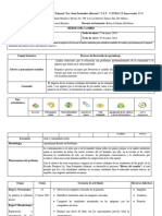 NEM Proyecto 6to