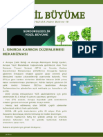 Yeşil Büyüme: 1. Sinirda Karbon Düzenlemesi Mekanizmasi