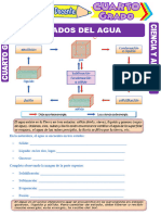 Estados-del-Agua-para-Cuarto-Grado-de-Primaria