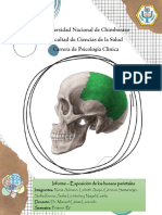 Anatomía de los huesos parietales