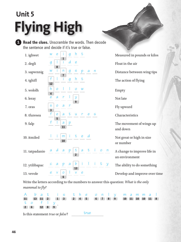 Flying High: Mammals and Flight | PDF | Unmanned Aerial Vehicle | Aviation