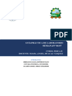 Práctica Laboratorio Fisica II Sem 06-07 Ing. Agroindustrial