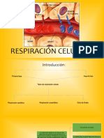 Respiracioncelular1 150814201819 Lva1 App6892