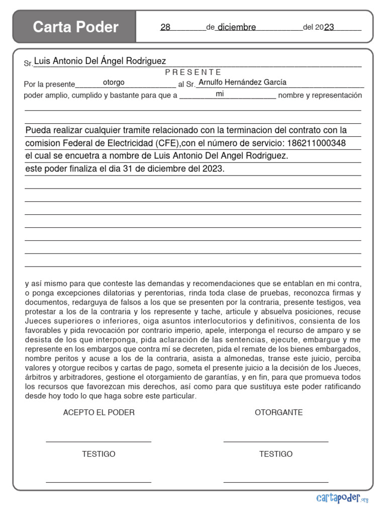 carta poder luz ok | PDF