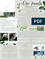 Ficha sobre el oso panda