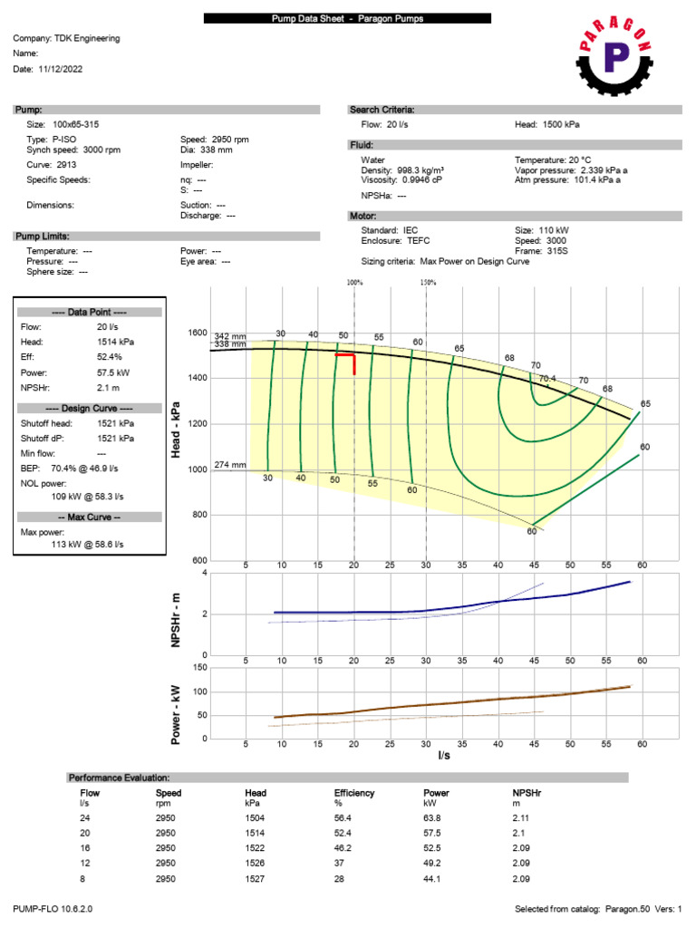 Paragon 100x65-315 Pump Data Sheet | PDF | Pump | Applied And ...