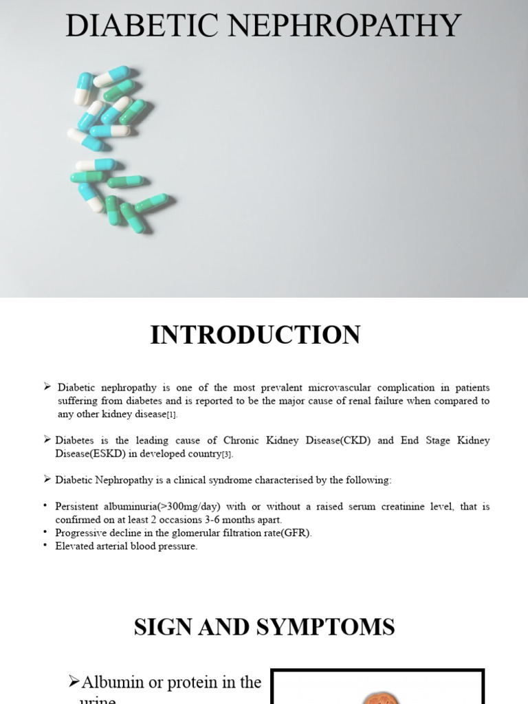 Understanding Diabetic Nephropathy | PDF | Chronic Kidney Disease ...