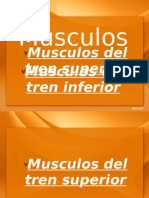 MUSCULOS!