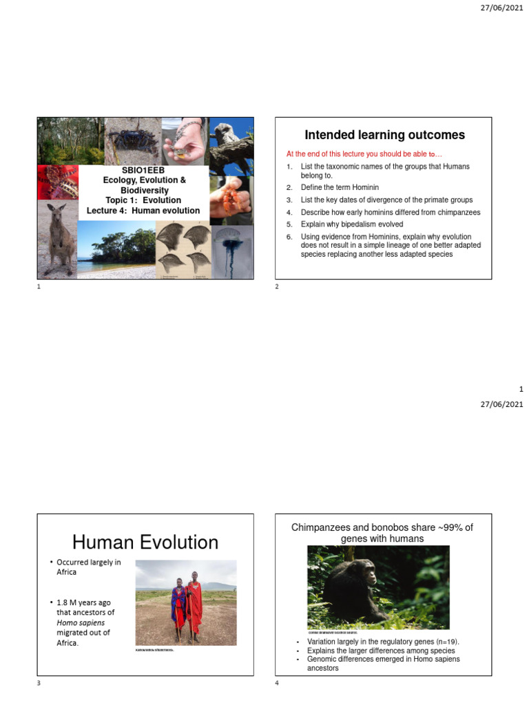 L4 - Human Evolution - 2021 | PDF | Hominidae | Homo