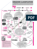 Bio Brain Maps