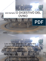 Aparato Digestivo Del Ovino