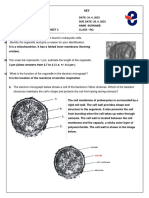 Ib1 Formative-2 Key - Son