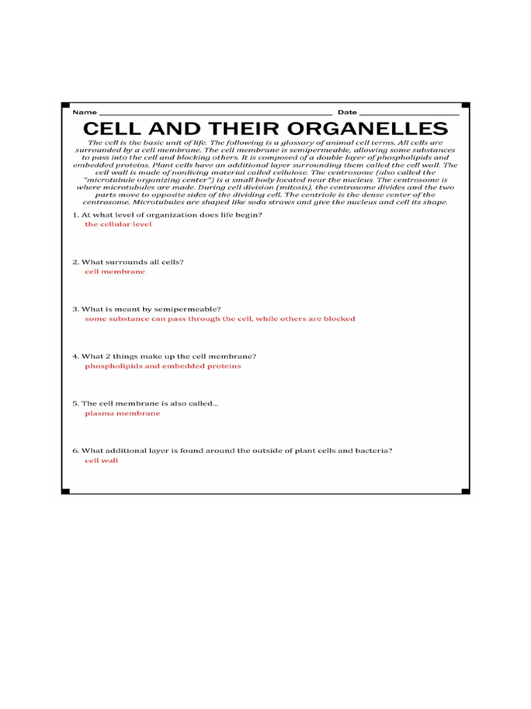 Printablee com Cells and Their Organelles Worksheet Answers 200318 Png