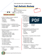 MULTILINGÜISMO - 5to