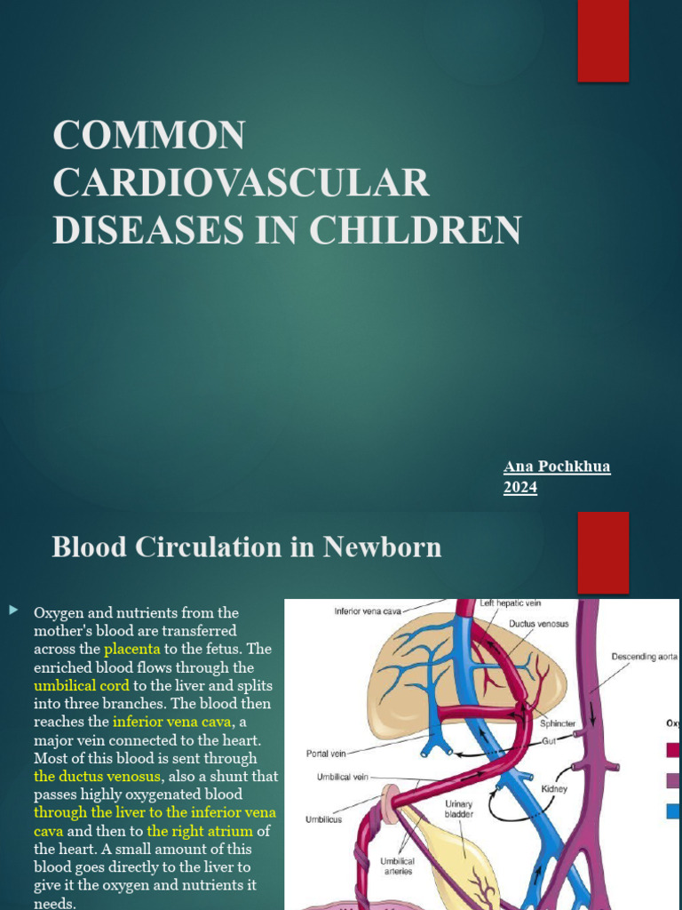 common-cardiovascular-diseases-in-children-pdf-heart-valve-diastole
