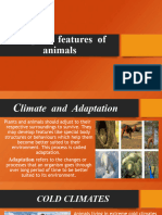 Adaptive Features of Animals