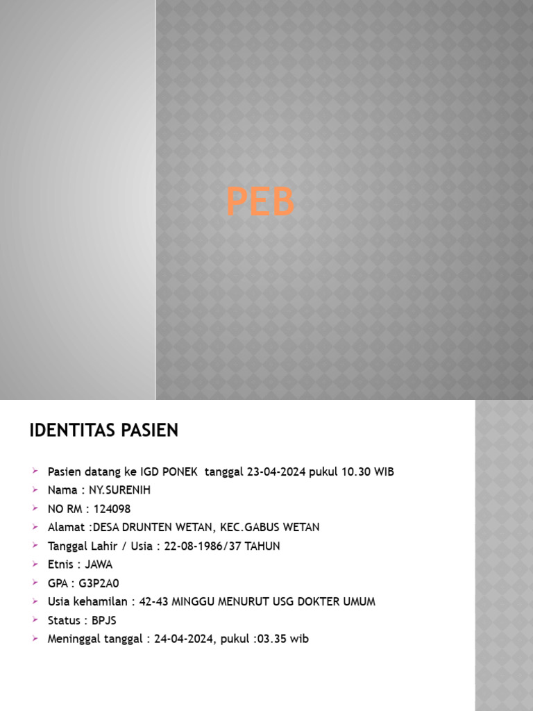 PEB | PDF