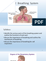 GR 8 - Topic 6.2 - Human Breathing System 1