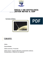 Clase 3 Celulas Eucarioticas Histologia